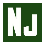 Nunjucks SVG Icon